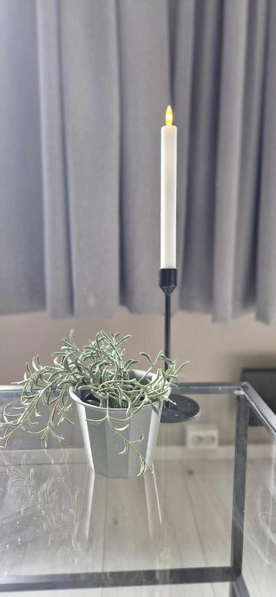 Elvegata 6, H0404 كريستينساند المظهر الخارجي الصورة